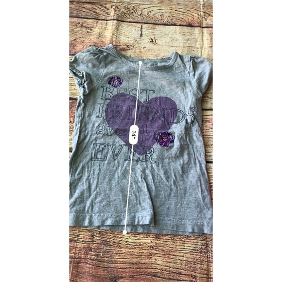 OshKosh Gymboree Girl’s Bundle Lot of 2 Shirts Kid’s Youth Size 4 - Picture 7 of 7